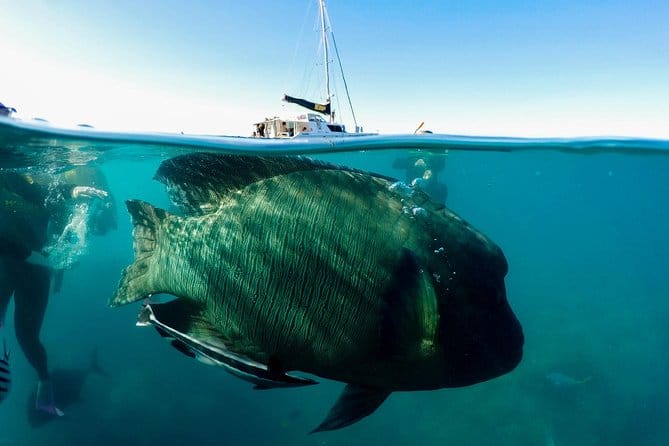 Scuba diving