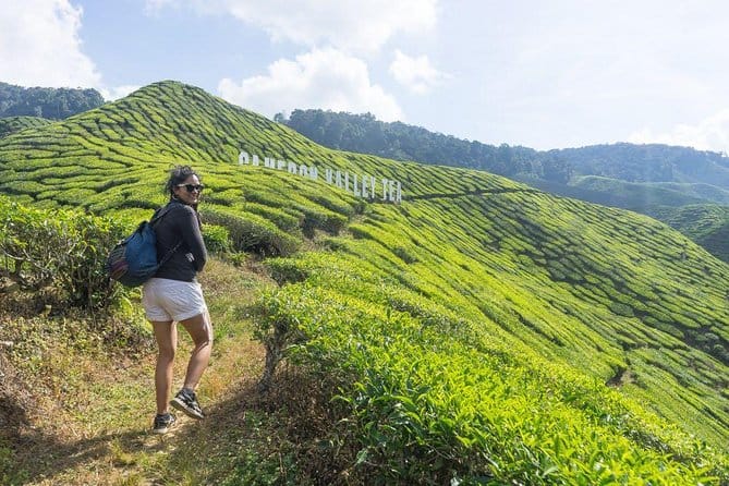Кэмерон-Хайлендс — изображение 8