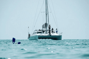 Индивидуальная рыбалка на катамаране Pelagic