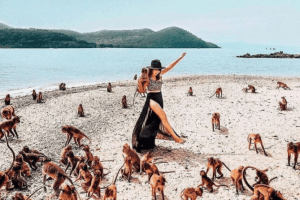 Custom Tour: Northern Islands