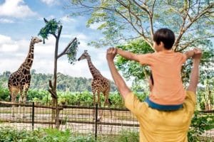 Singapore Zoo