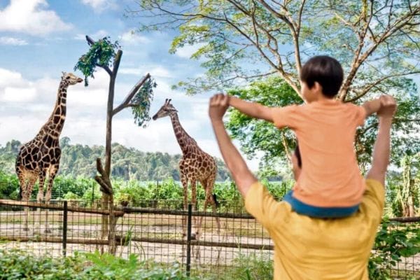 Singapore Zoo