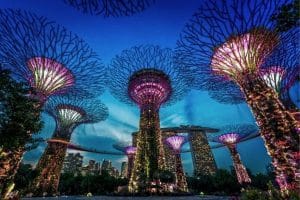 Supertrees and the Gardens by the Bay