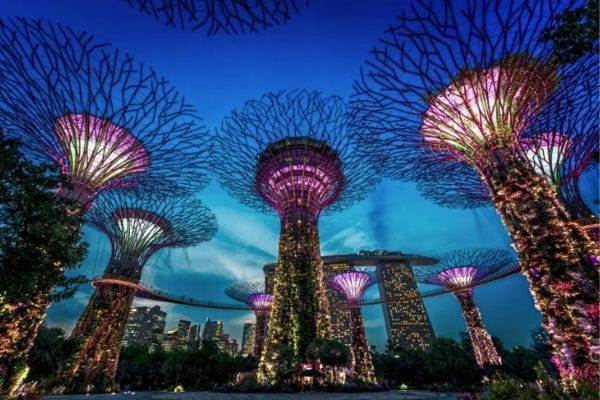 Supertrees and the Gardens by the Bay