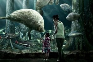 Wonders of Rivers